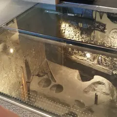 鎌倉期遺跡展示
