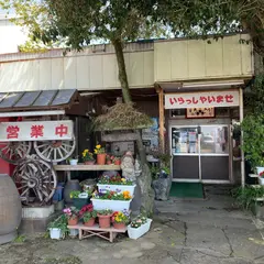 仔馬ドライブイン