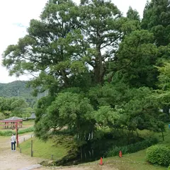 水源公園