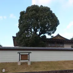 松林庵