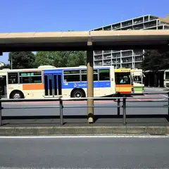 旭区