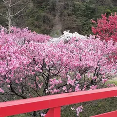 昼神温泉ガイドセンター