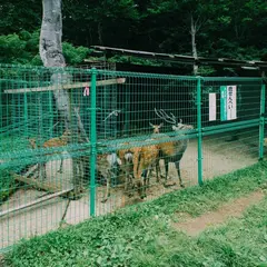 大平鹿公園