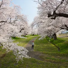 能代川分流記念公園