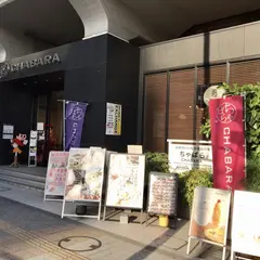 日本のいいもの逸品🇯🇵市場ちゃばら