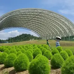 ホッ！とステイまんのう