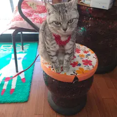 海の家