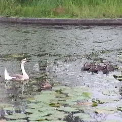 烏ケ森公園