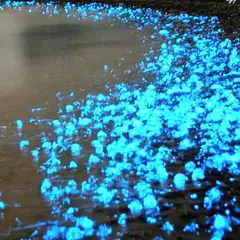 魚津おさかなランド