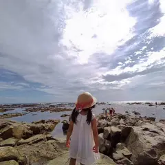実入海岸