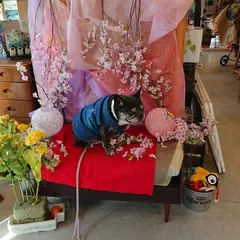 dog cafe K3