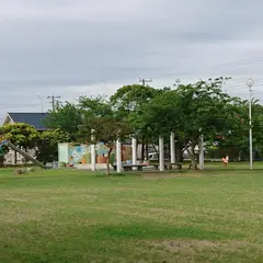 畑沢南