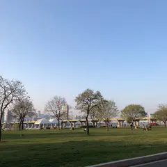 뚝섬한강공원