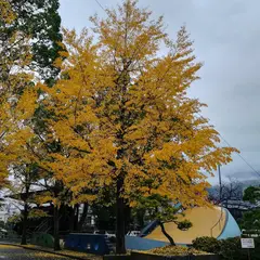 和霊公園