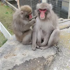 銚子渓