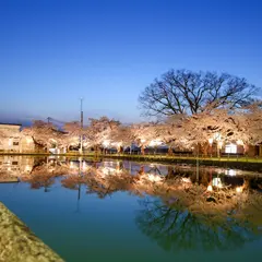 真人公園