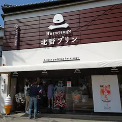 北野プリンHarutsuge