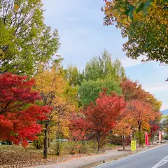小布施総合公園