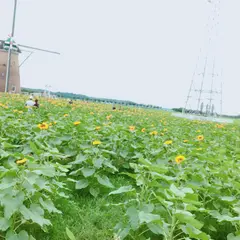 佐倉ふるさと広場