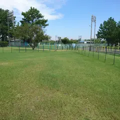 渚園