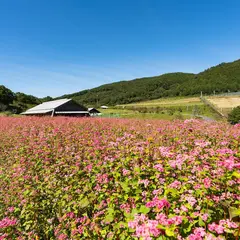 グリーンパーク都路