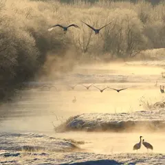音羽橋