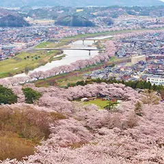 白石川堤一目千本桜
