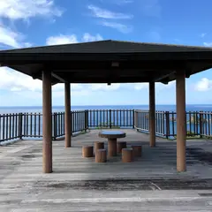 丸木崎展望所