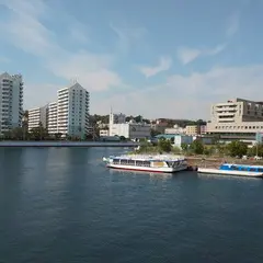 〒231-0801 神奈川県横浜市中区新山下３丁目