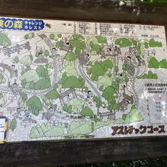 三重県民の森