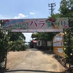 双松バラ園