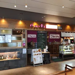 バルーチョ エキアプレミエ和光店