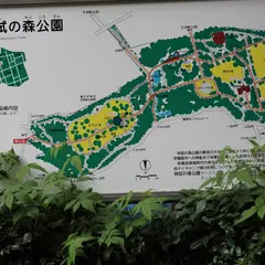 林試の森公園デイキャンプ場