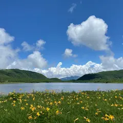 雄国沼湿原