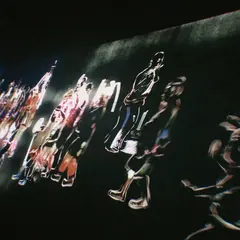 【閉業】森ビルデジタルアートミュージアム：エプソン チームラボボーダレス（MORI Building Digital Art Museum: EPSON teamLab Borderless）
