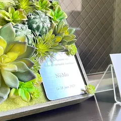 Restaurant NéMo
