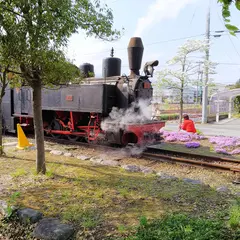 河北中央公園