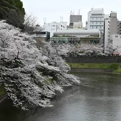 九段坂