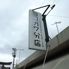 ヨコガワ分店