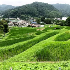 葉山の棚田