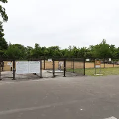 鹿公園ドッグラン
