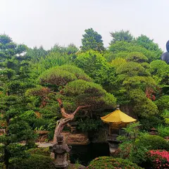 たいやき わかば