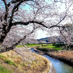 赤坂町
