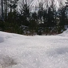 駒渡ポケットパーク