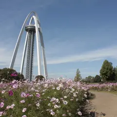 １３８タワーパーク