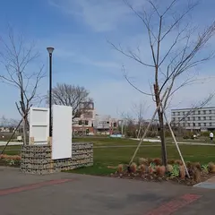 はなふる