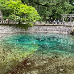 別府弁天池