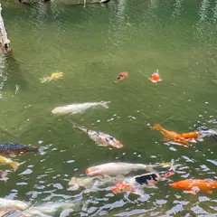 一の俣桜公園