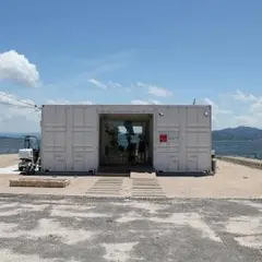 ダイコン
