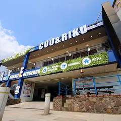 ペットショップCoo&RIKU 江ノ島店